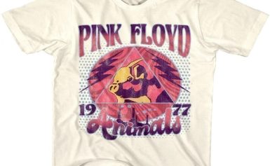 Dive into the Psychedelia: Pink Floyd Merchandise Wonderland