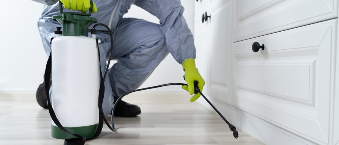 Pest Control Services: Safeguarding Your Home, Business, and Health from Pest Threats