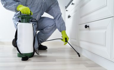 Pest Control Services: Safeguarding Your Home, Business, and Health from Pest Threats