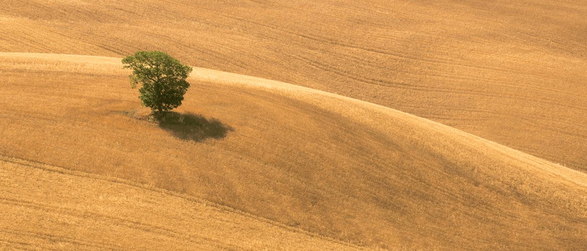 Elevated Realism Capturing Life with Drone Photography