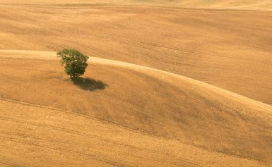 Elevated Realism Capturing Life with Drone Photography