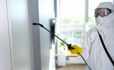 Reliable Pest Solutions for Sydney’s Commercial Spaces