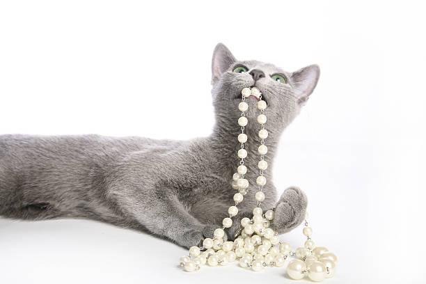 Stylish and Fun: Silver Cat Jewelry for Every Cat Fan